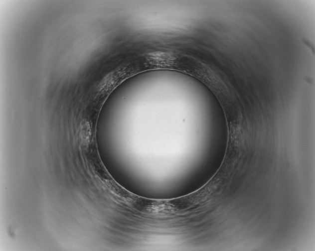 X0000102510752200808151546
