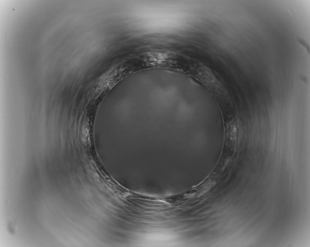 X0000102510754200808151546