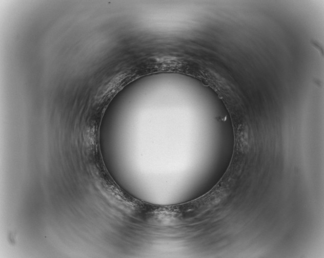 X0000102510756200808151546