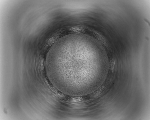 X0000102510757200808151546