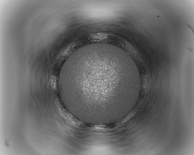 X0000102510758200808151546