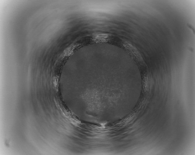 X0000102510759200808151546
