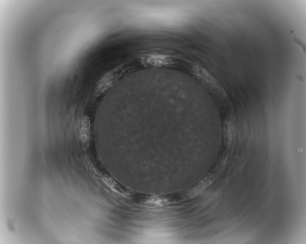 X0000102510760200808151546