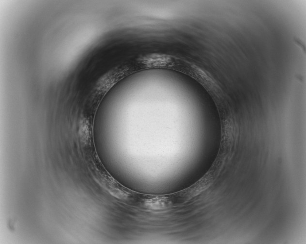 X0000102510761200808151546
