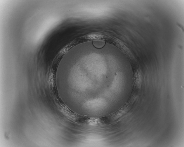 X0000102510762200808151546