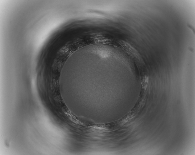 X0000102510763200808151546