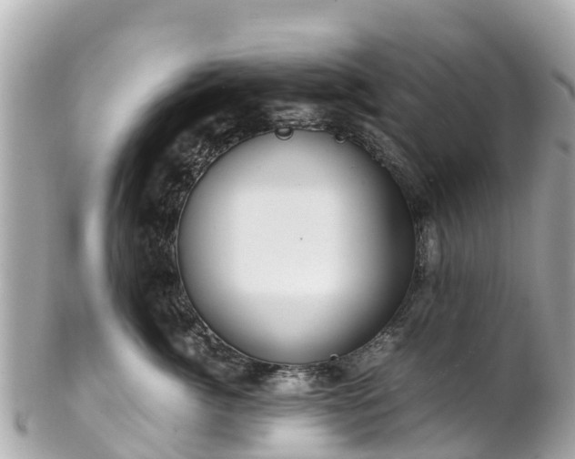 X0000102510764200808151546