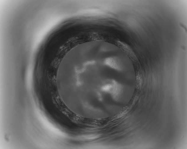 X0000102510765200808151546
