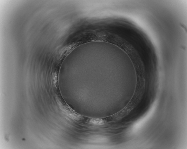 X0000102510767200808151546