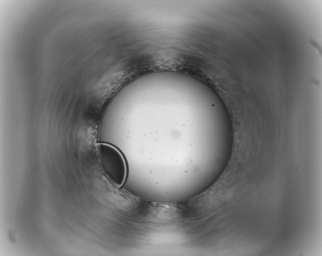 X0000102510768200808151546