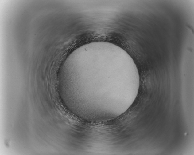 X0000102510769200808151546