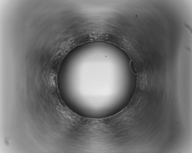 X0000102510770200808151546