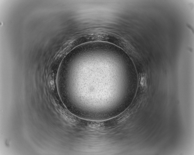 X0000102510771200808151546