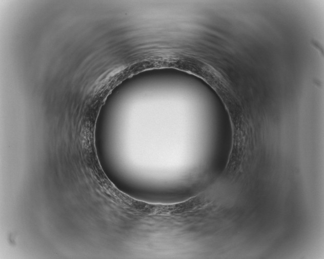 X0000102510773200808151546