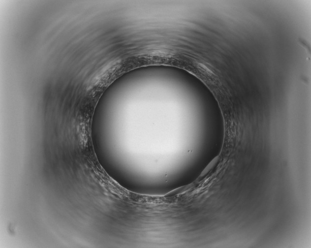 X0000102510774200808151546