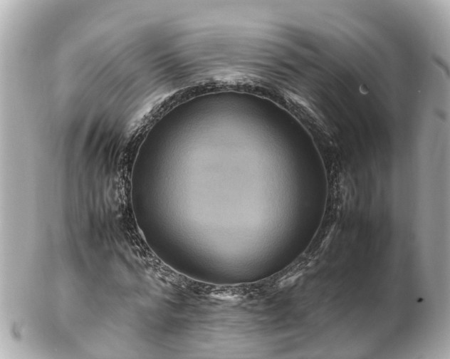 X0000102510776200808151546