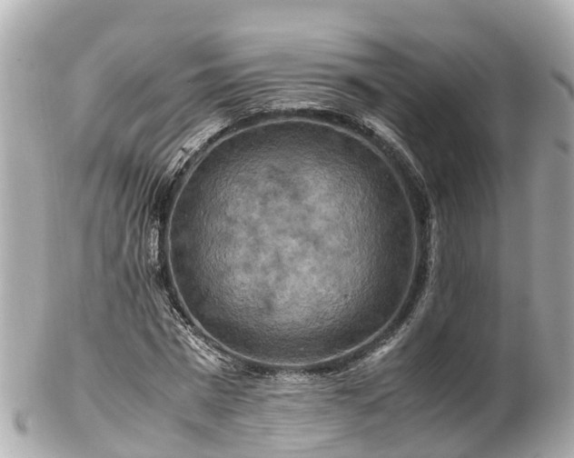 X0000102510777200808151546