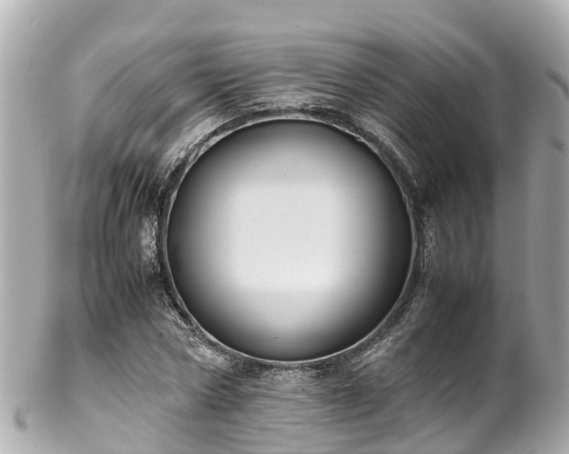 X0000102510778200808151545