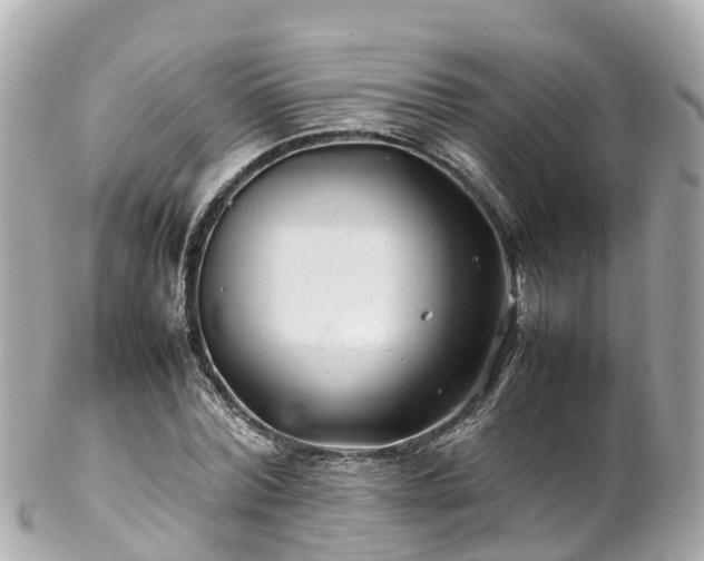 X0000102510780200808151545