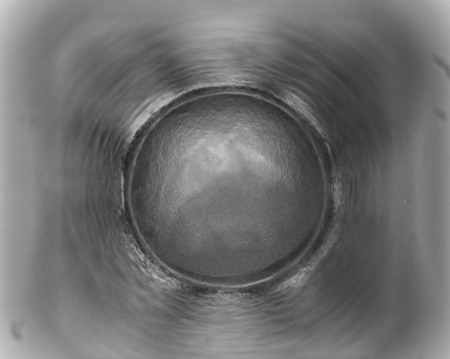 X0000102510781200808151545