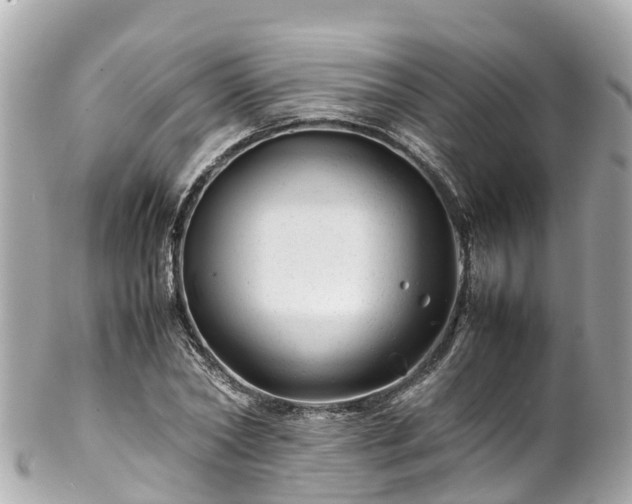 X0000102510782200808151545