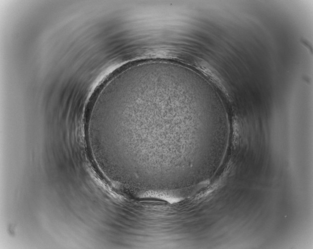 X0000102510784200808151545