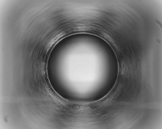 X0000102510786200808151545
