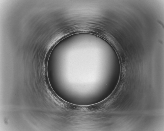 X0000102510787200808151545