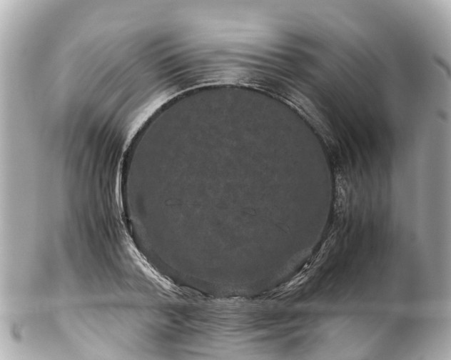 X0000102510788200808151545