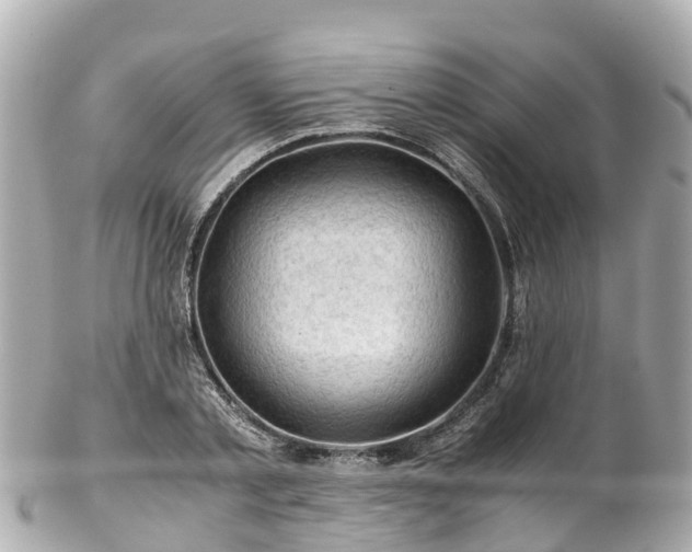 X0000102510789200808151545