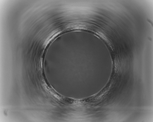 X0000102510790200808151545