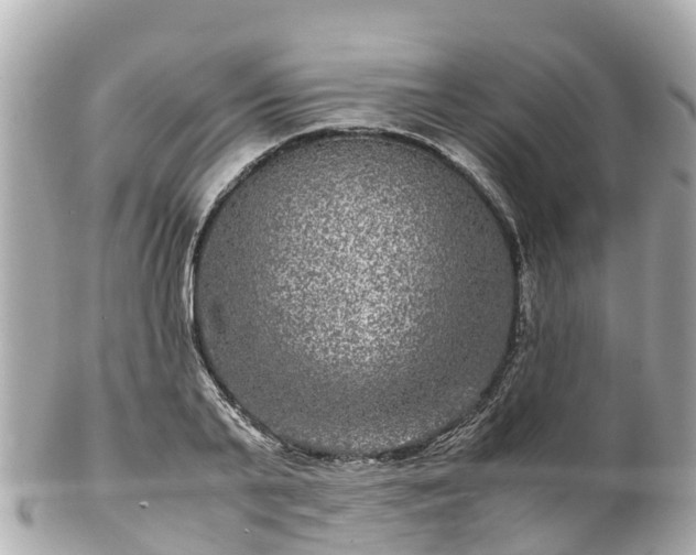 X0000102510791200808151545