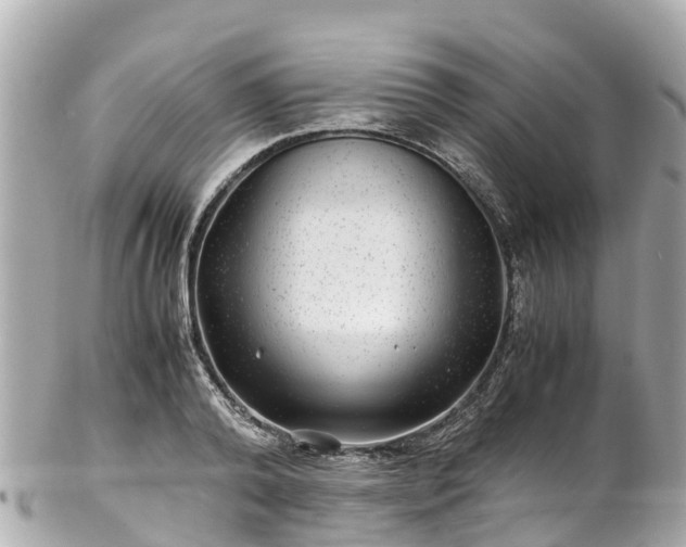 X0000102510792200808151545