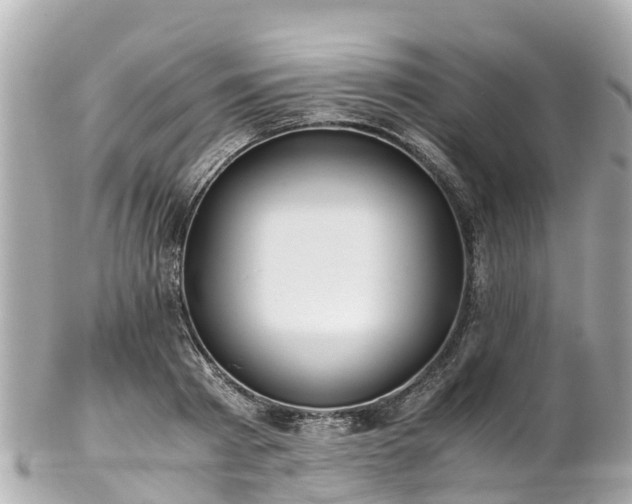 X0000102510793200808151545