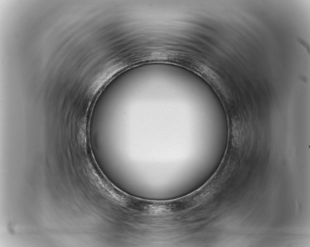 X0000102510794200808151545