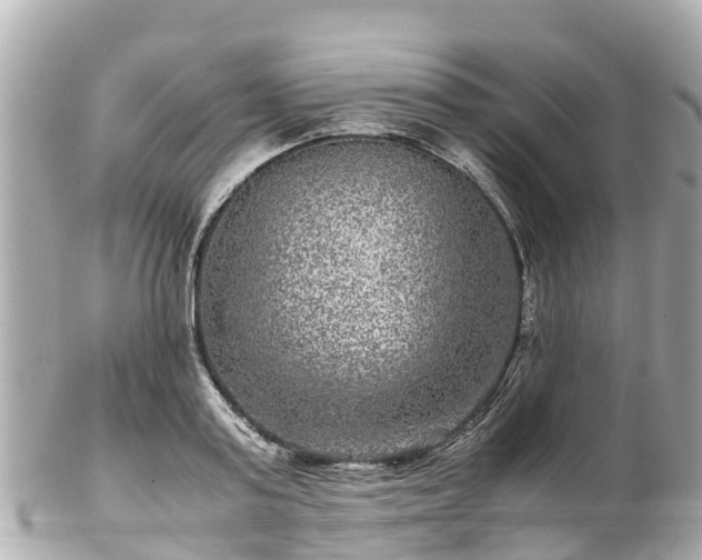 X0000102510795200808151545