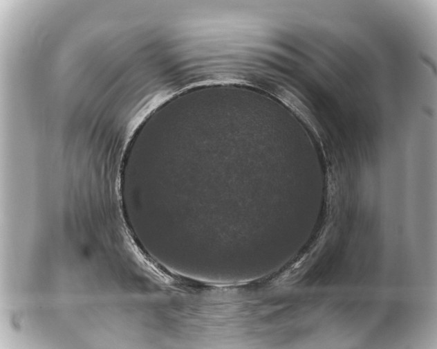 X0000102510797200808151545