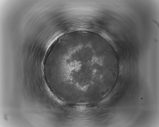 X0000102510798200808151545