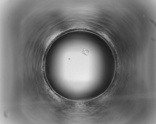 X0000102510799200808151545