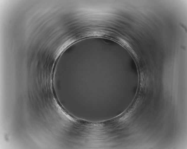 X0000102510802200808151545