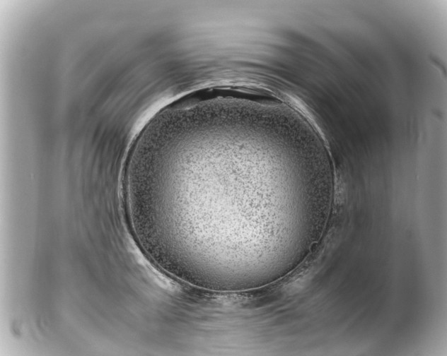 X0000102510803200808151545