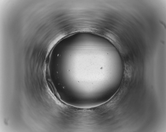 X0000102510804200808151545