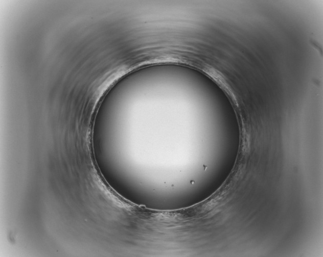 X0000102510805200808151545