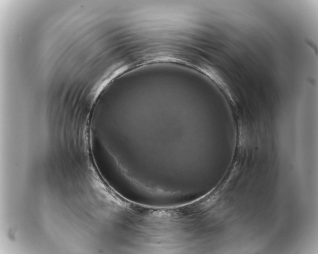 X0000102510806200808151545