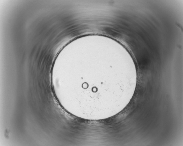 X0000102510807200808151545