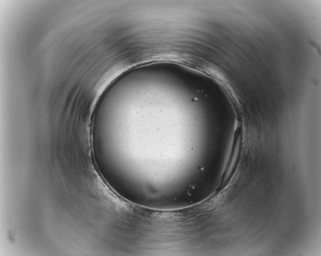 X0000102510808200808151545