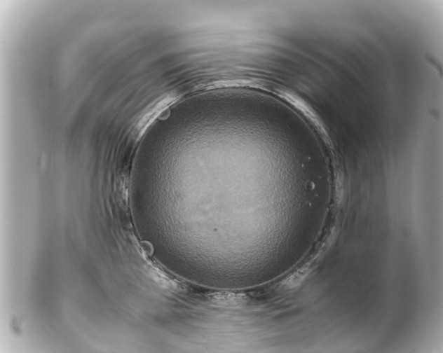 X0000102510809200808151545