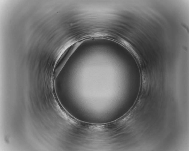 X0000102510810200808151545