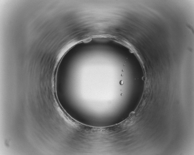 X0000102510811200808151545