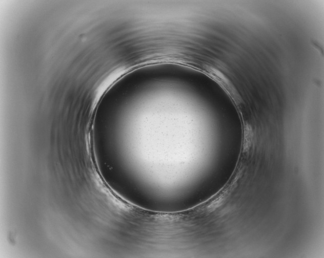 X0000102510812200808151545